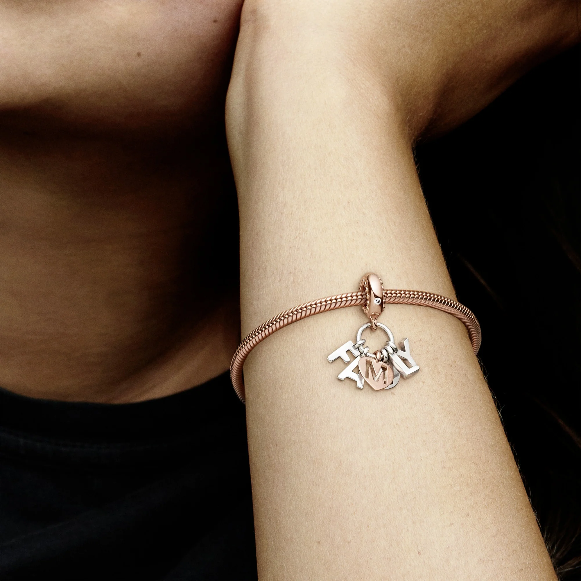 Family 14K Rose Gold-Plated And Silver Dangle With Clear Cubic Zirconia - Image 8